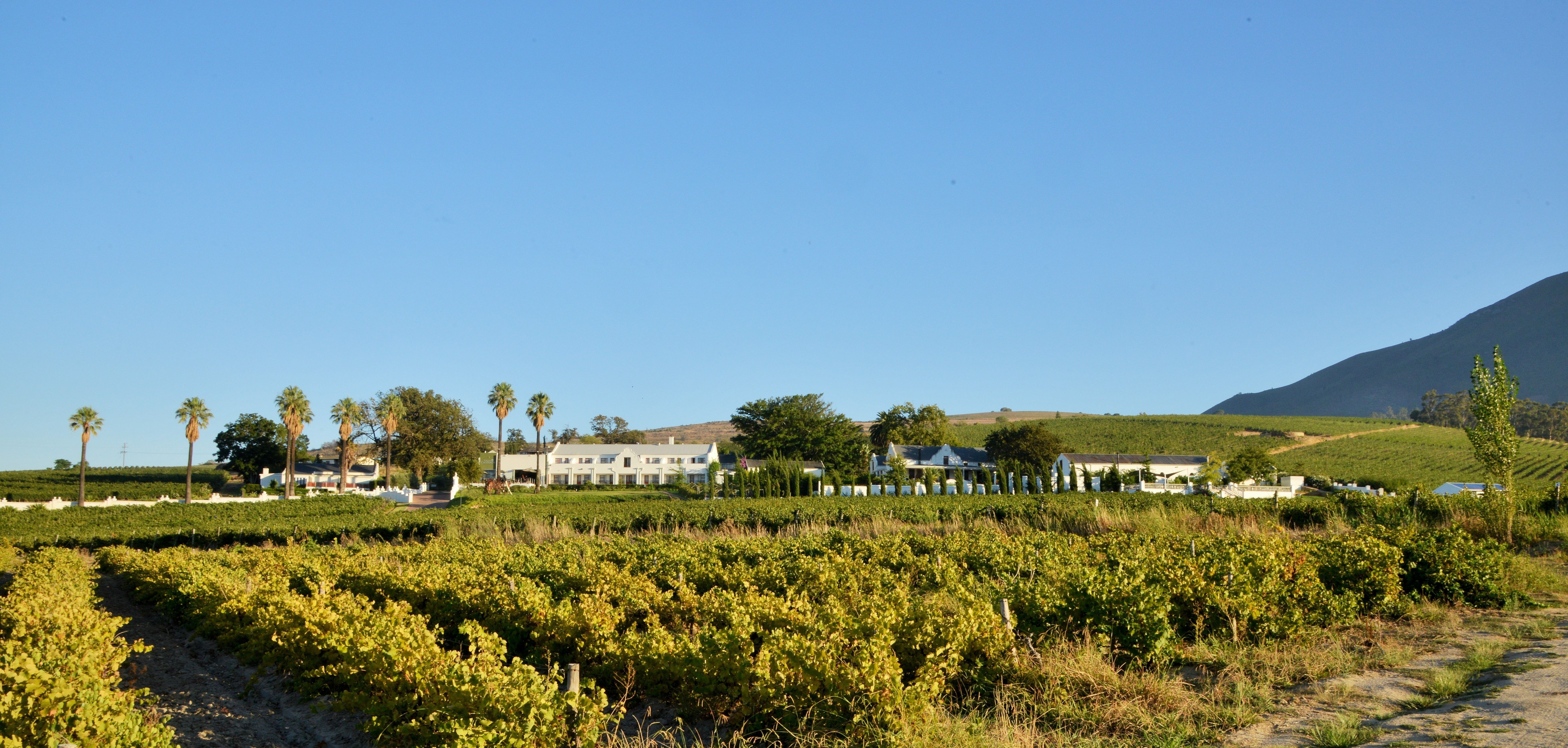 A photo of Val du Charron Wine & Leisure Estate
