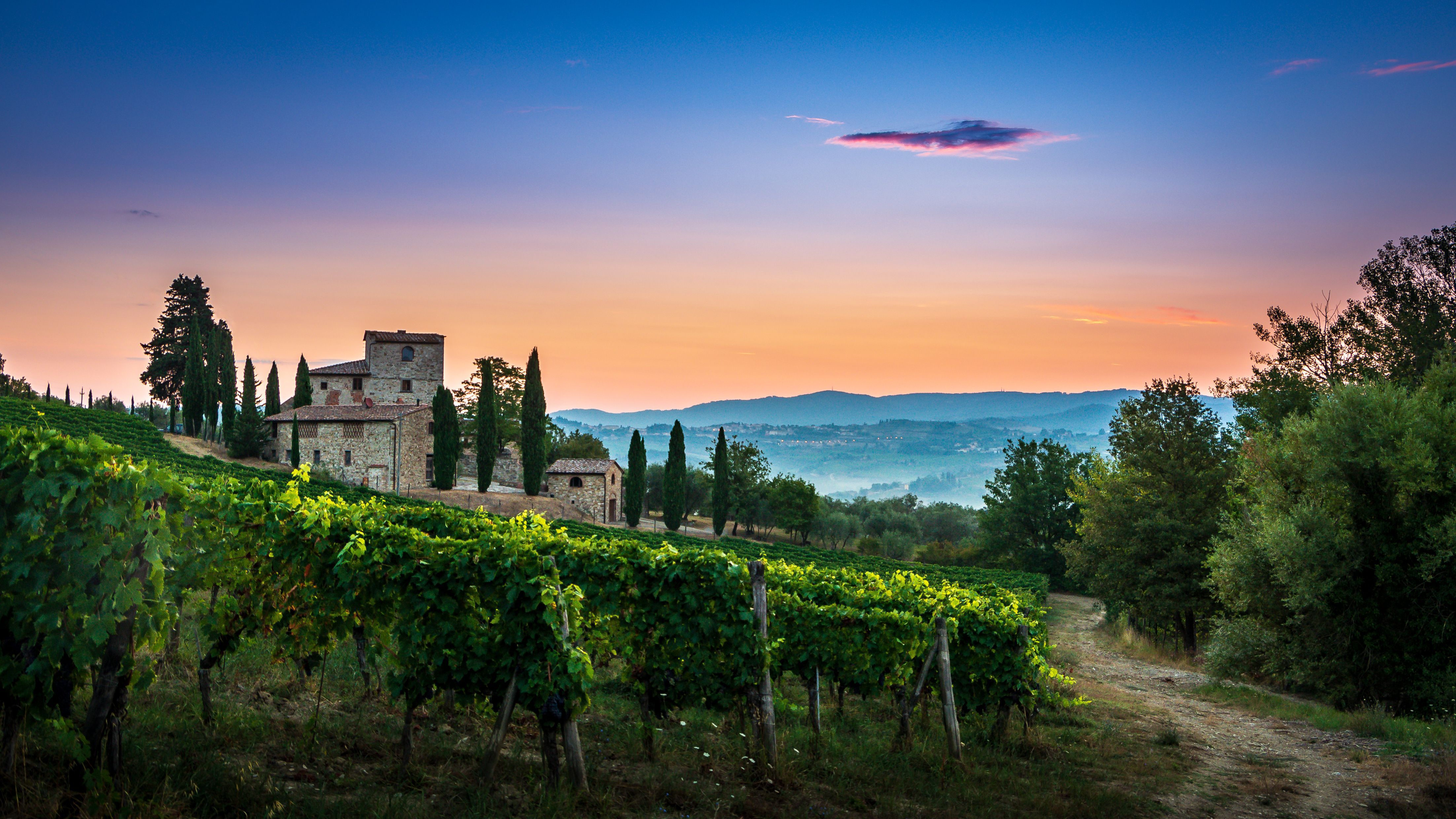 A photo of The Best Wine Tasting Tours in Chianti Classico