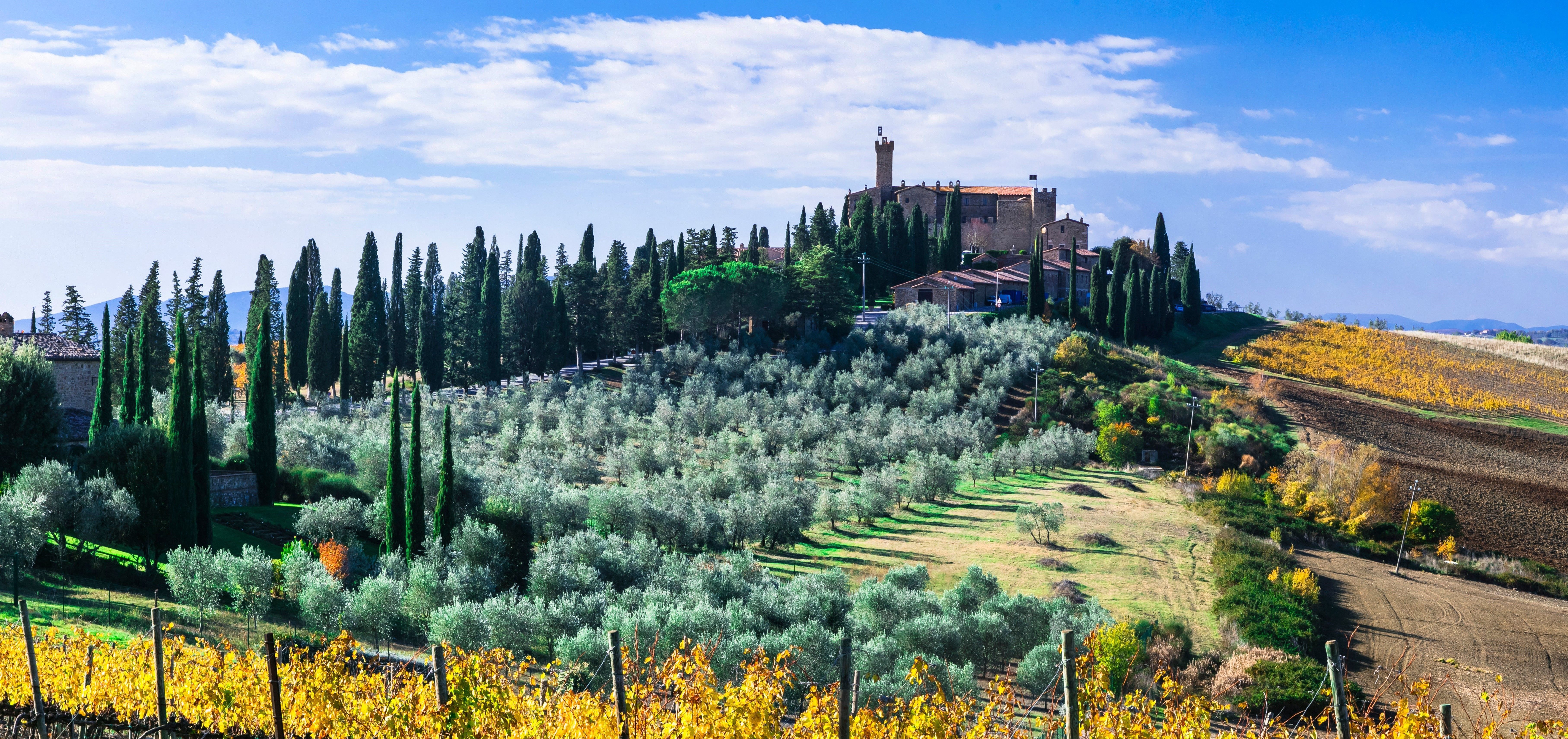 A photo of The Best Wine Tasting Tours in Brunello di Montalcino
