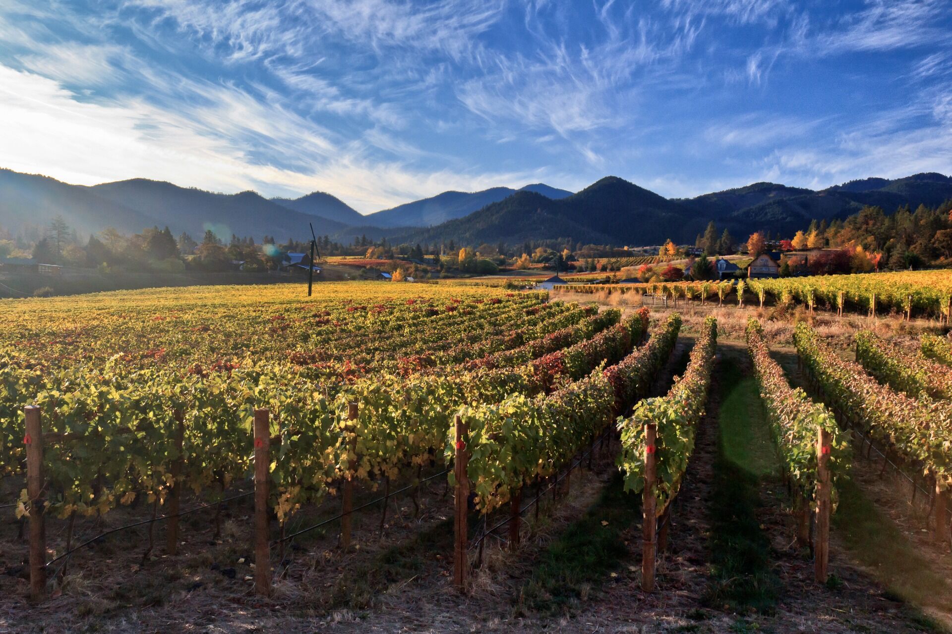 A photo of The Best Wine Tasting Tours in Oregon & Willamette Valley