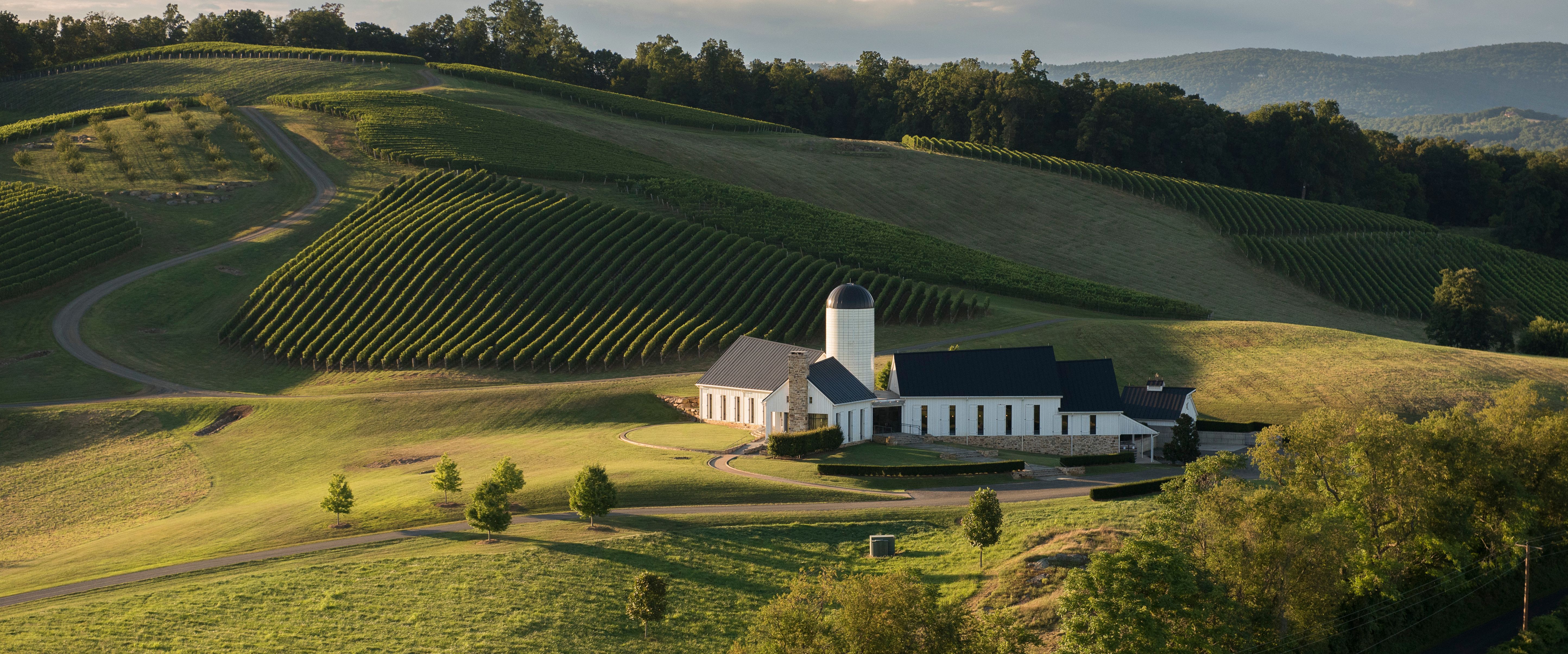 A photo of The Best Wine Tasting Tours in Virginia & Shenandoah Valley