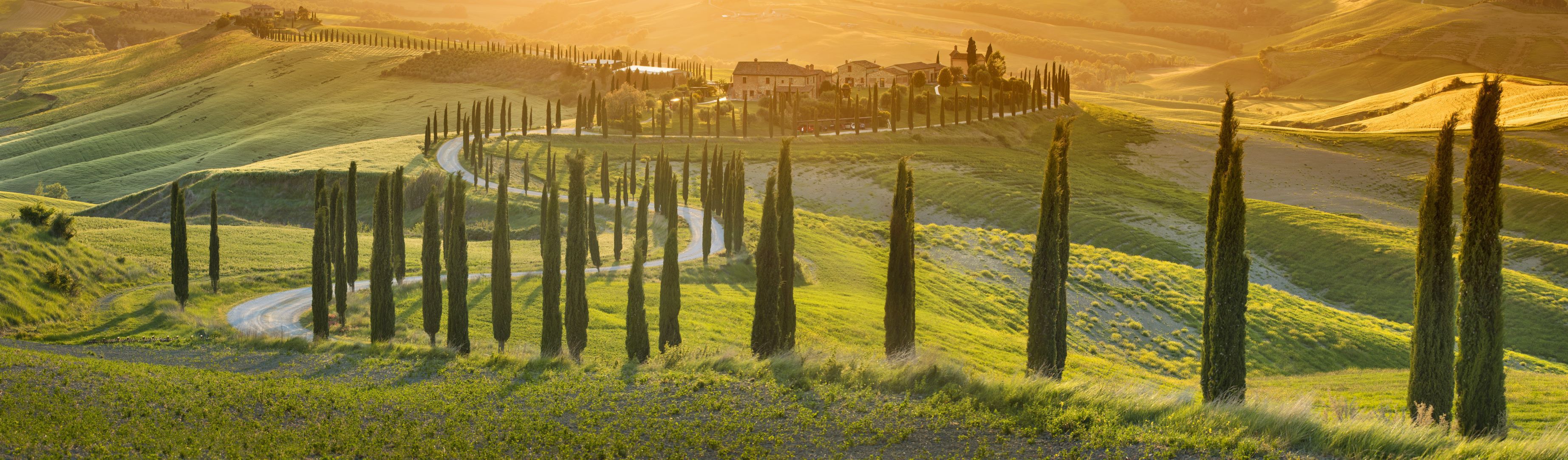 A photo of The Best Wine Tasting Tours in Tuscany