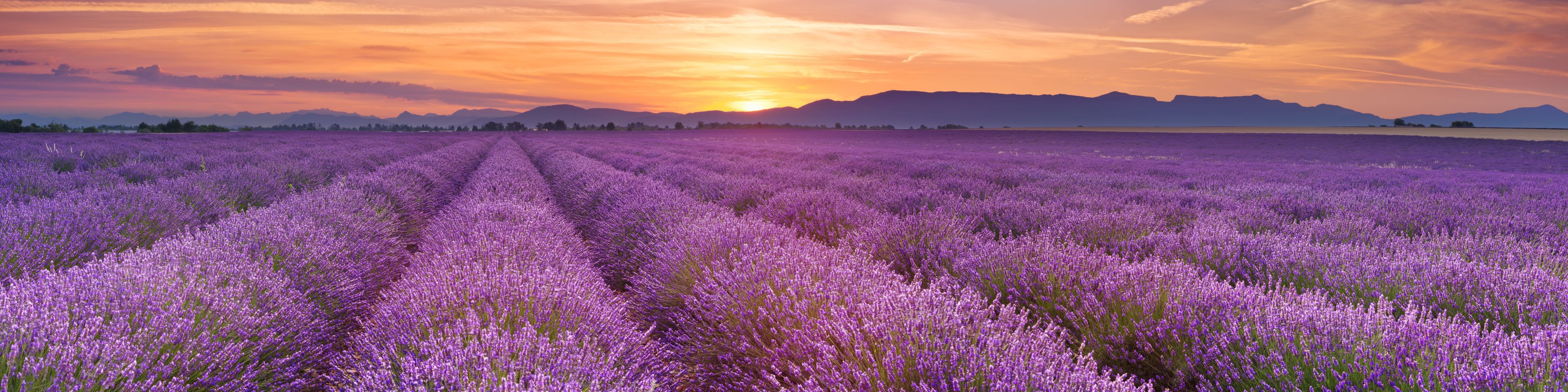A photo of Provence Wine Travel Guide | Wine Holidays | Winerist