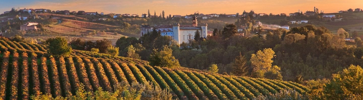A photo of The Best Wine Tasting Tours in Piedmont
