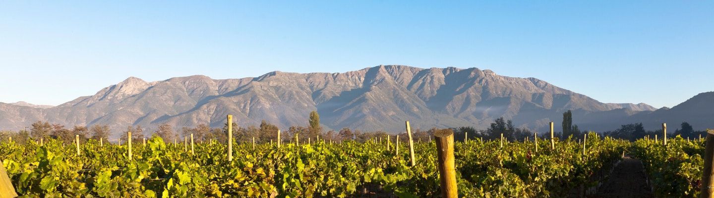 A photo of The Best Wine Tasting Tours in Maipo Valley