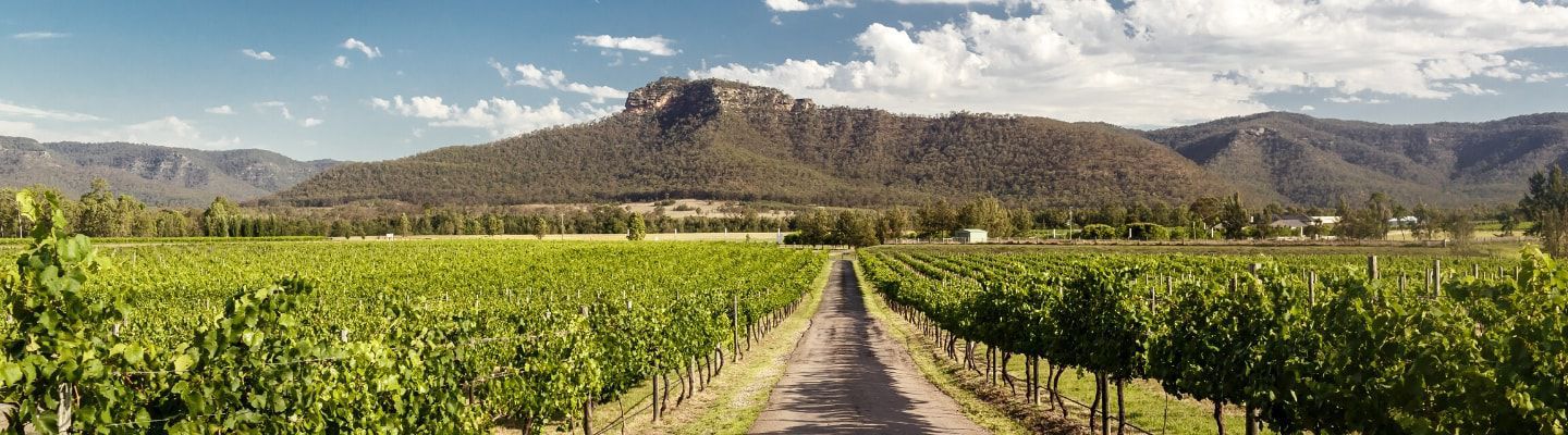 A photo of The Best Wine Tasting Tours in Hunter Valley