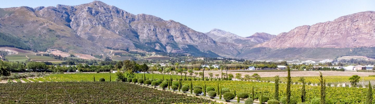A photo of The Best Wine Tasting Tours in Stellenbosch