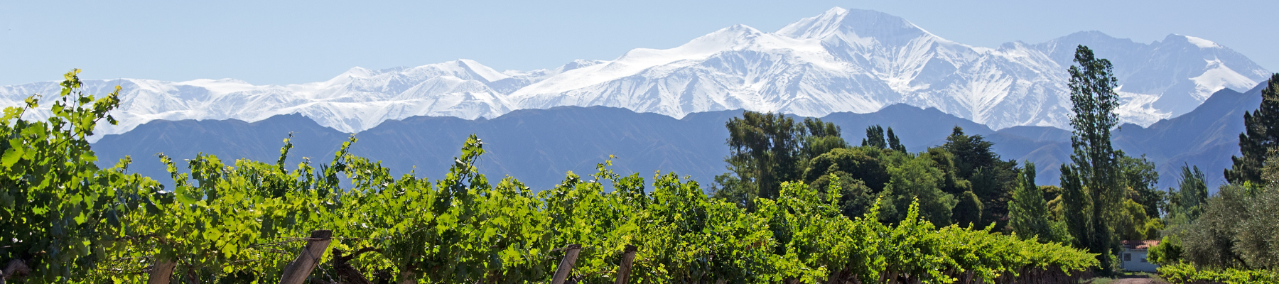 A photo of The Best Wine Tasting Tours in Mendoza