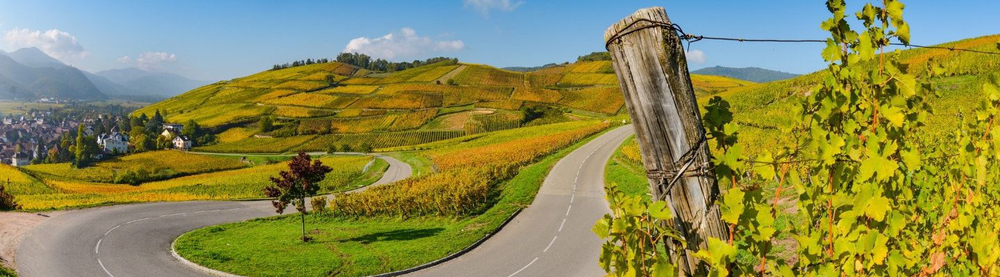A photo of The Best Wine Tasting Tours in Alsace
