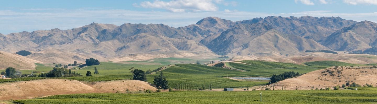A photo of The Best Wine Tasting Tours in Marlborough