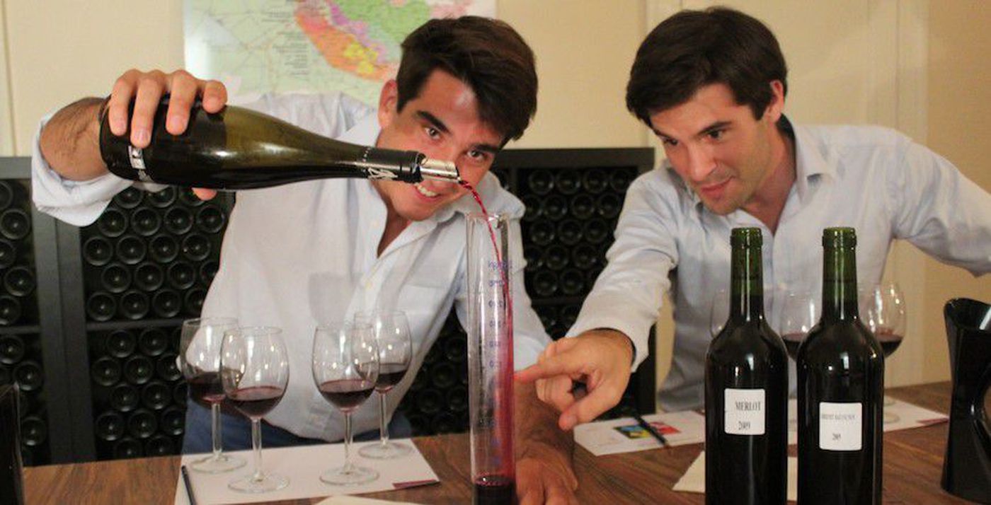 Bordeaux wine tasting