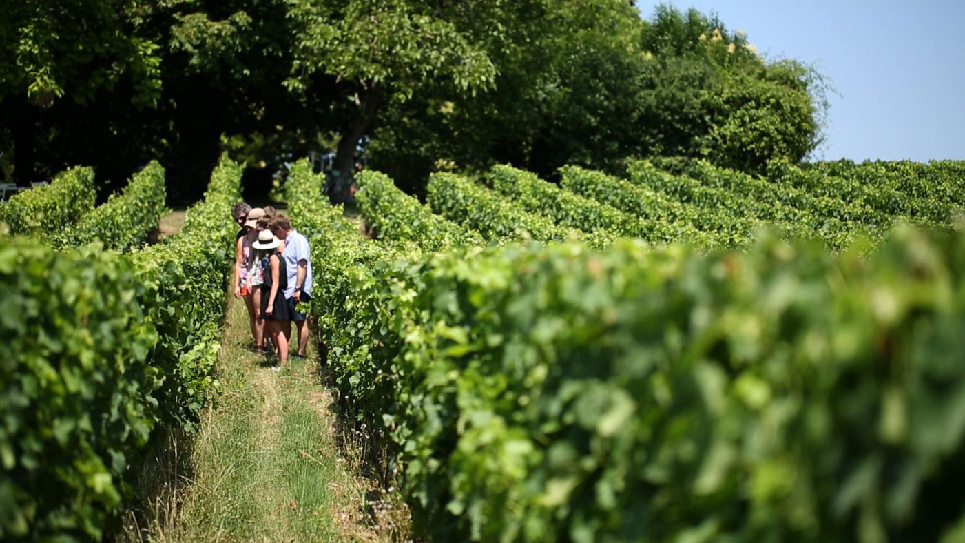 Private Médoc Wine Tasting Tour