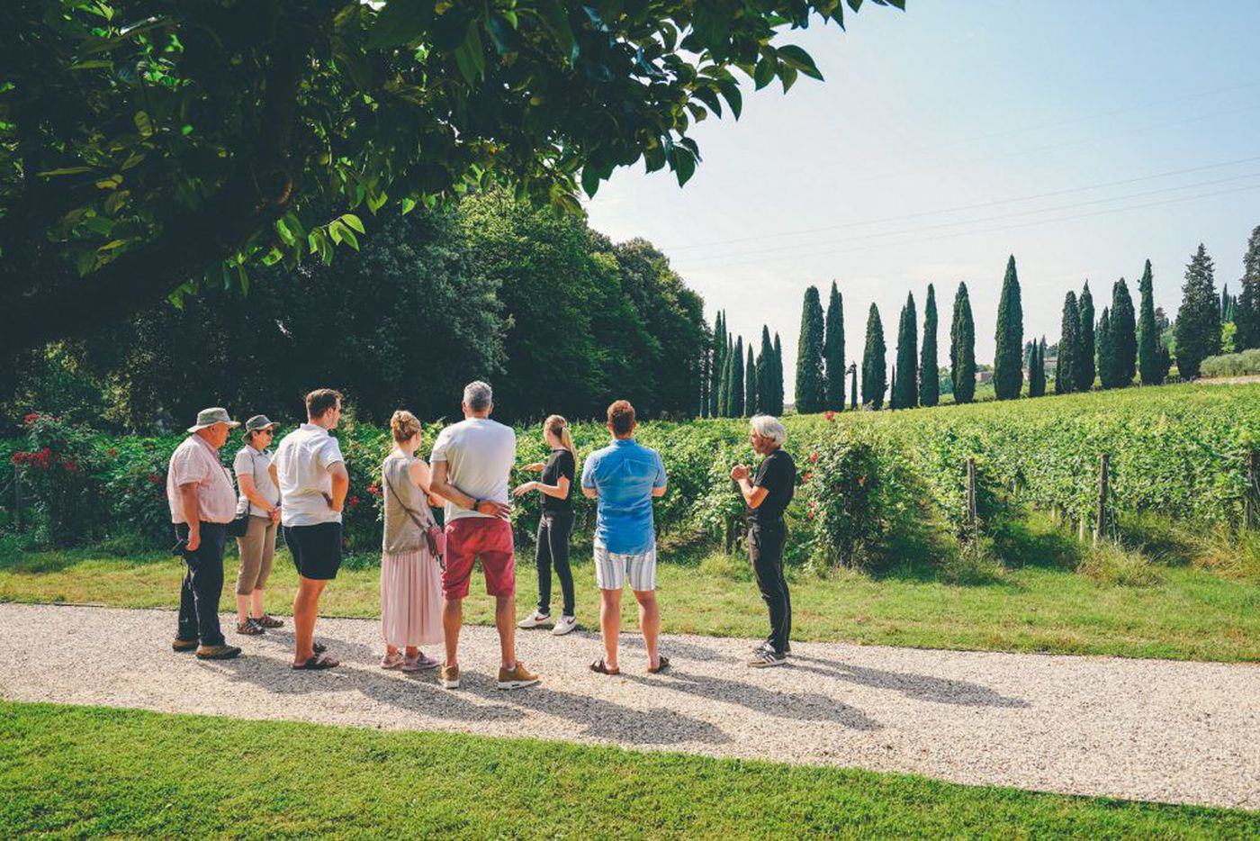 A photo of Valpolicella & Amarone Wine Tour from Lake Garda