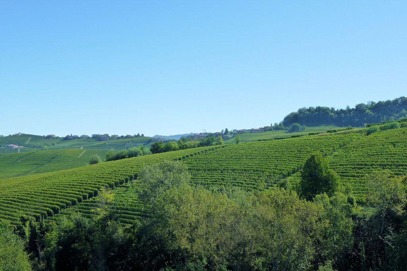 A photo of Full Day Piedmont & Barolo Wine Tour from Milan