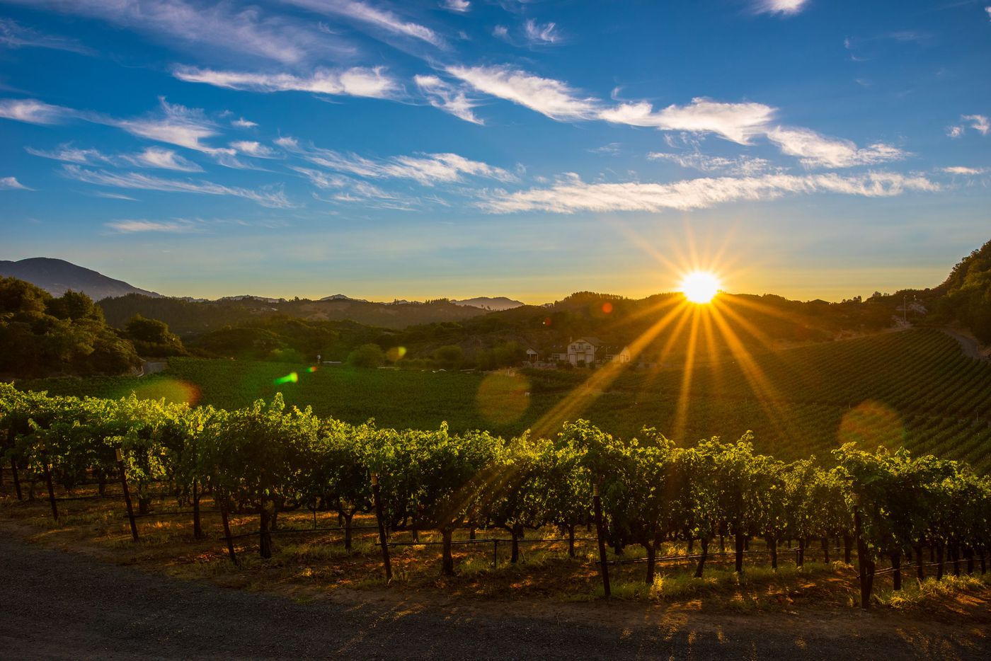 A photo of Private Napa Valley Boutique Wineries Tour 