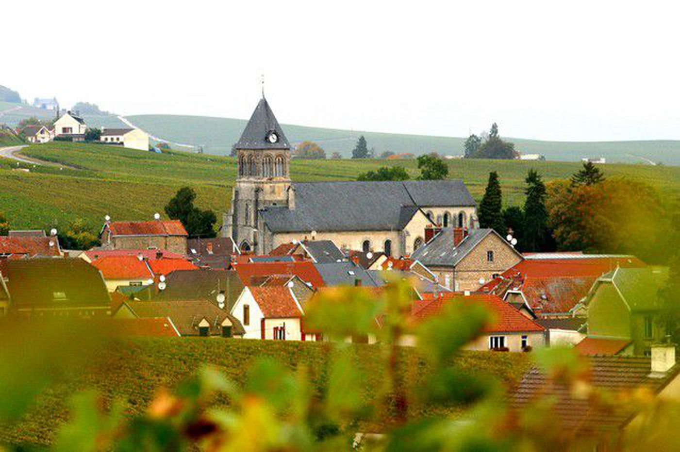 A photo of Full-Day Private Wine Tour in Champagne from Reims