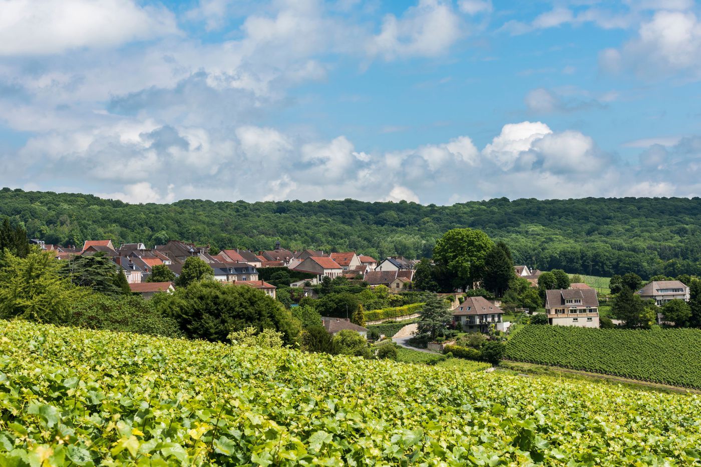 A photo of Half-Day Epernay and Hautvillers Champagne Tasting Tour from Reims