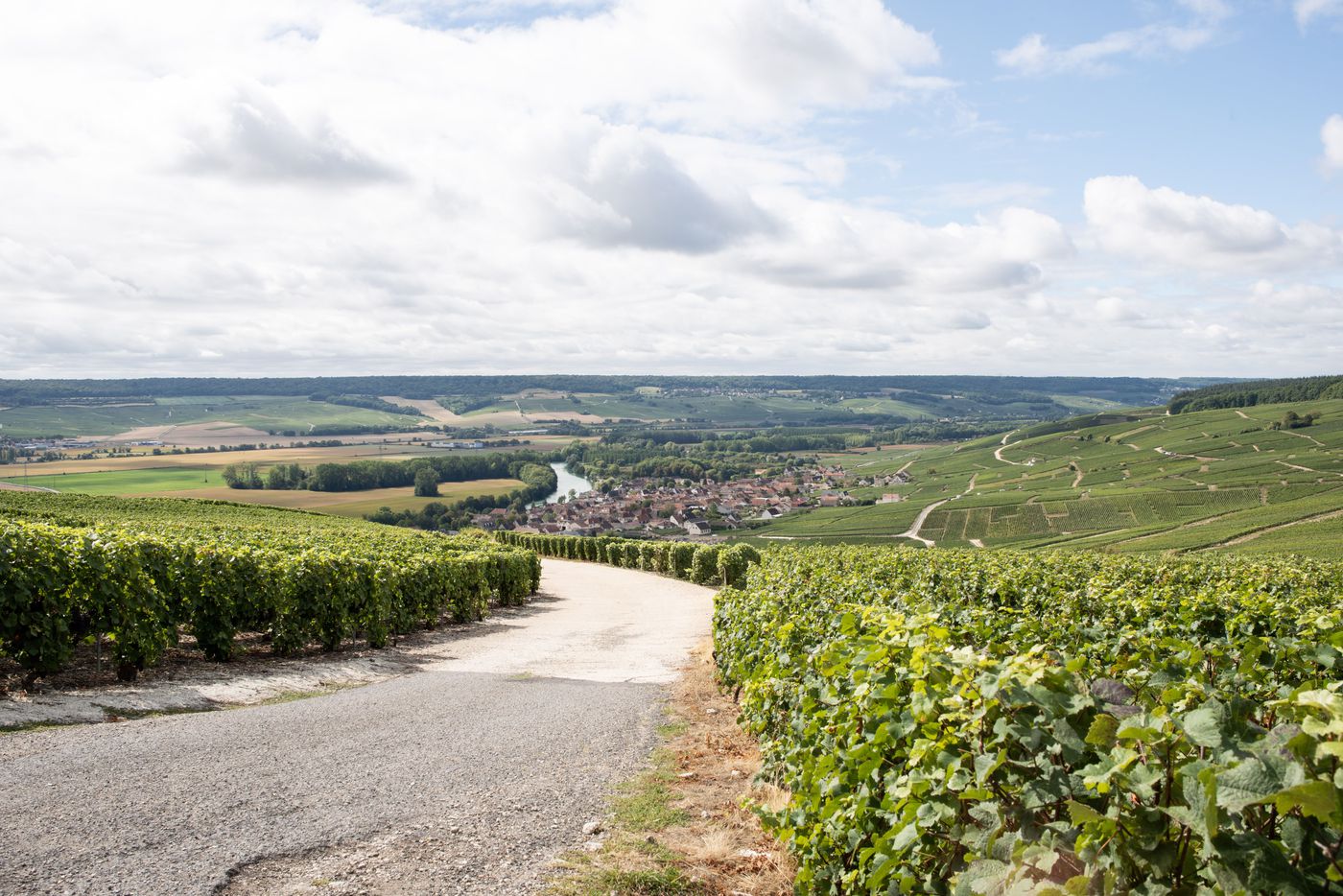 A photo of Short day family grower & lunch from Epernay