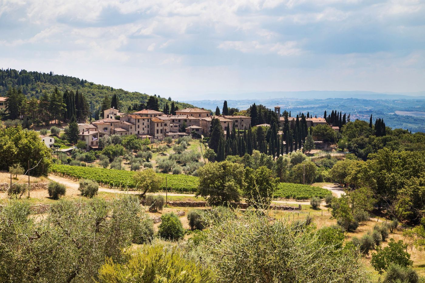 A photo of Small Group Wine Tasting Tour in Chianti From Florence