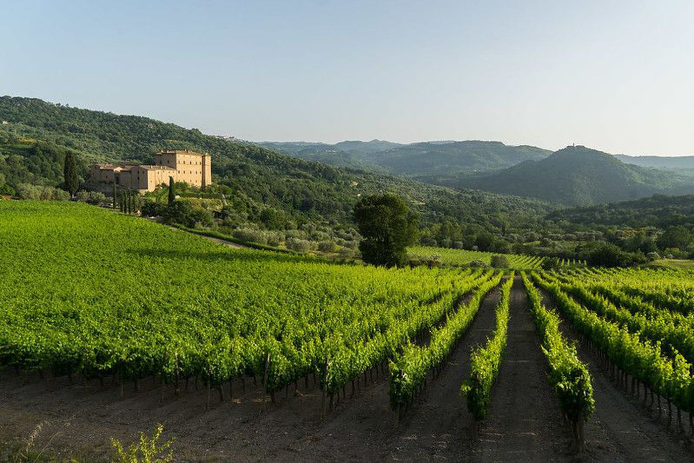 A photo of Castello di Potentino Winery