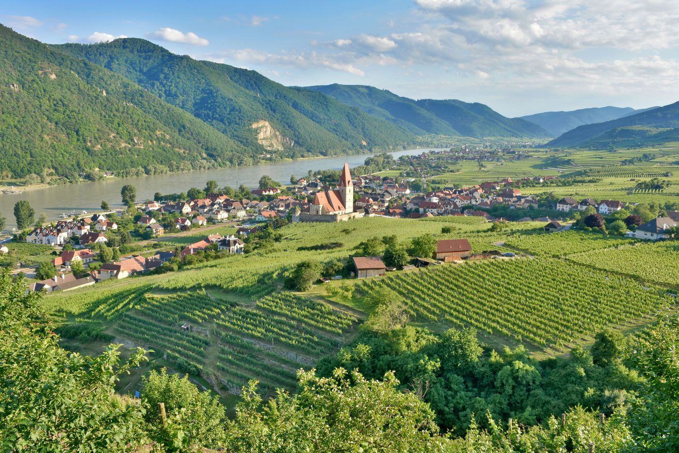 A photo of Full-Day Wachau Valley Wine Tasting Tour
