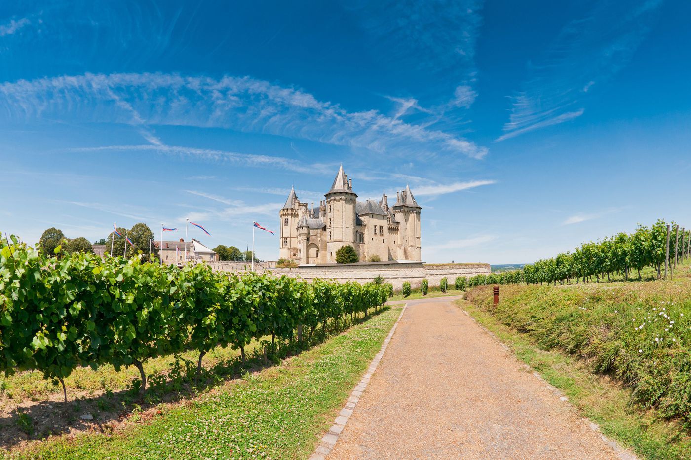 A photo of Half-Day Private Wine Tour in the Loire Valley from Saumur