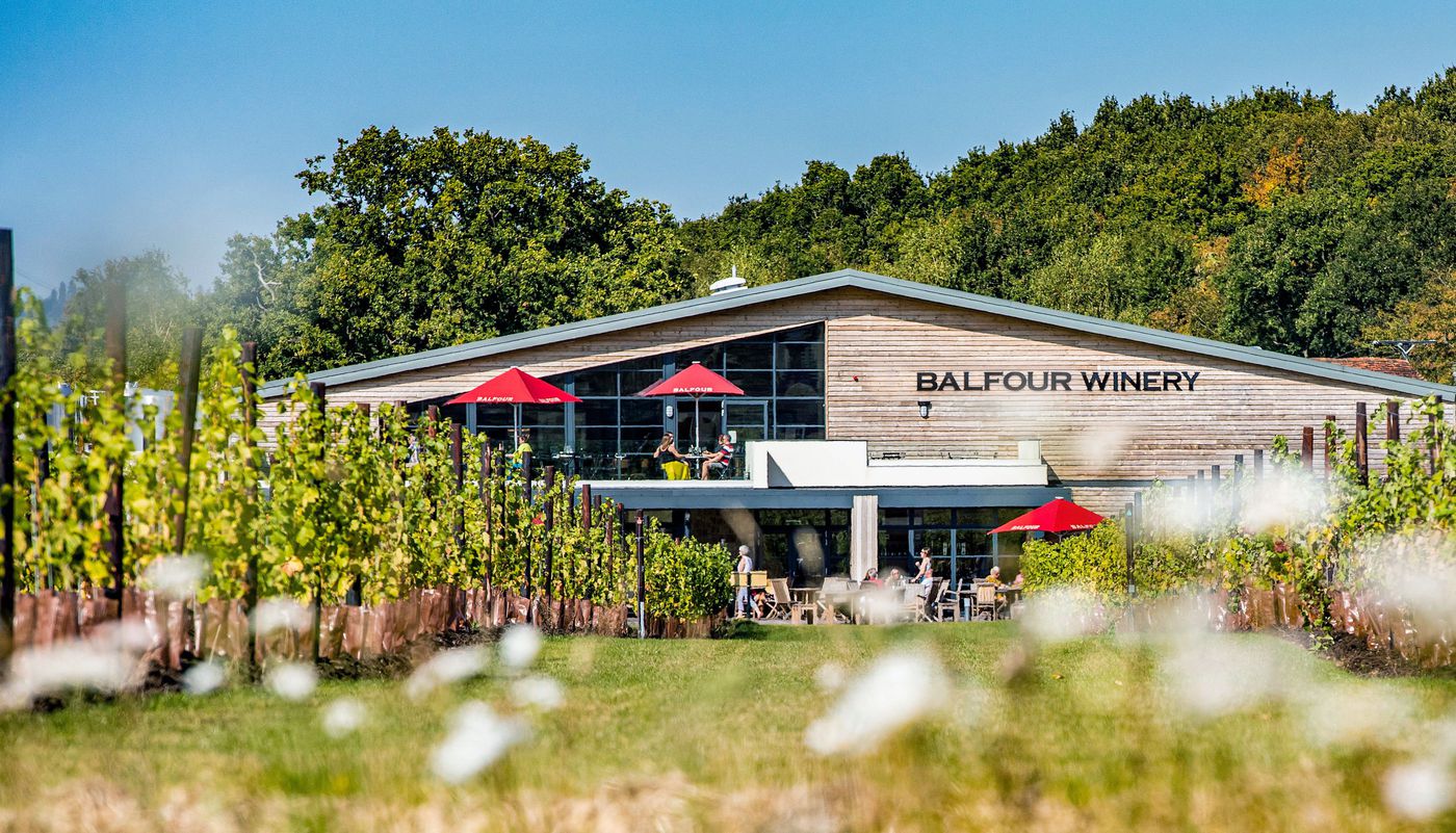 A photo of Balfour Winery