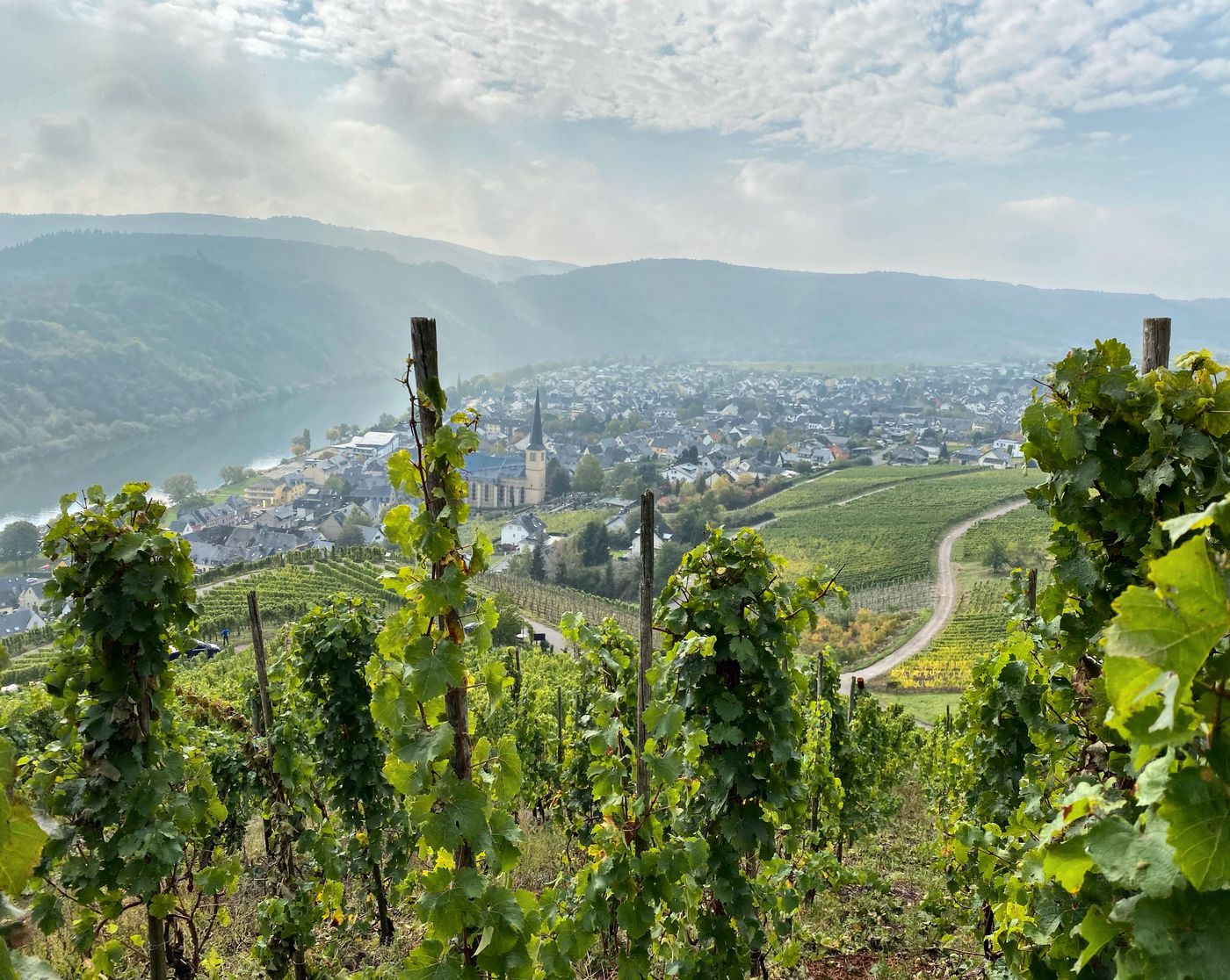 A photo of Escape to the Mosel