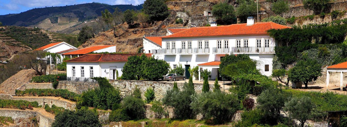 A photo of Fonseca's Quinta do Panascal