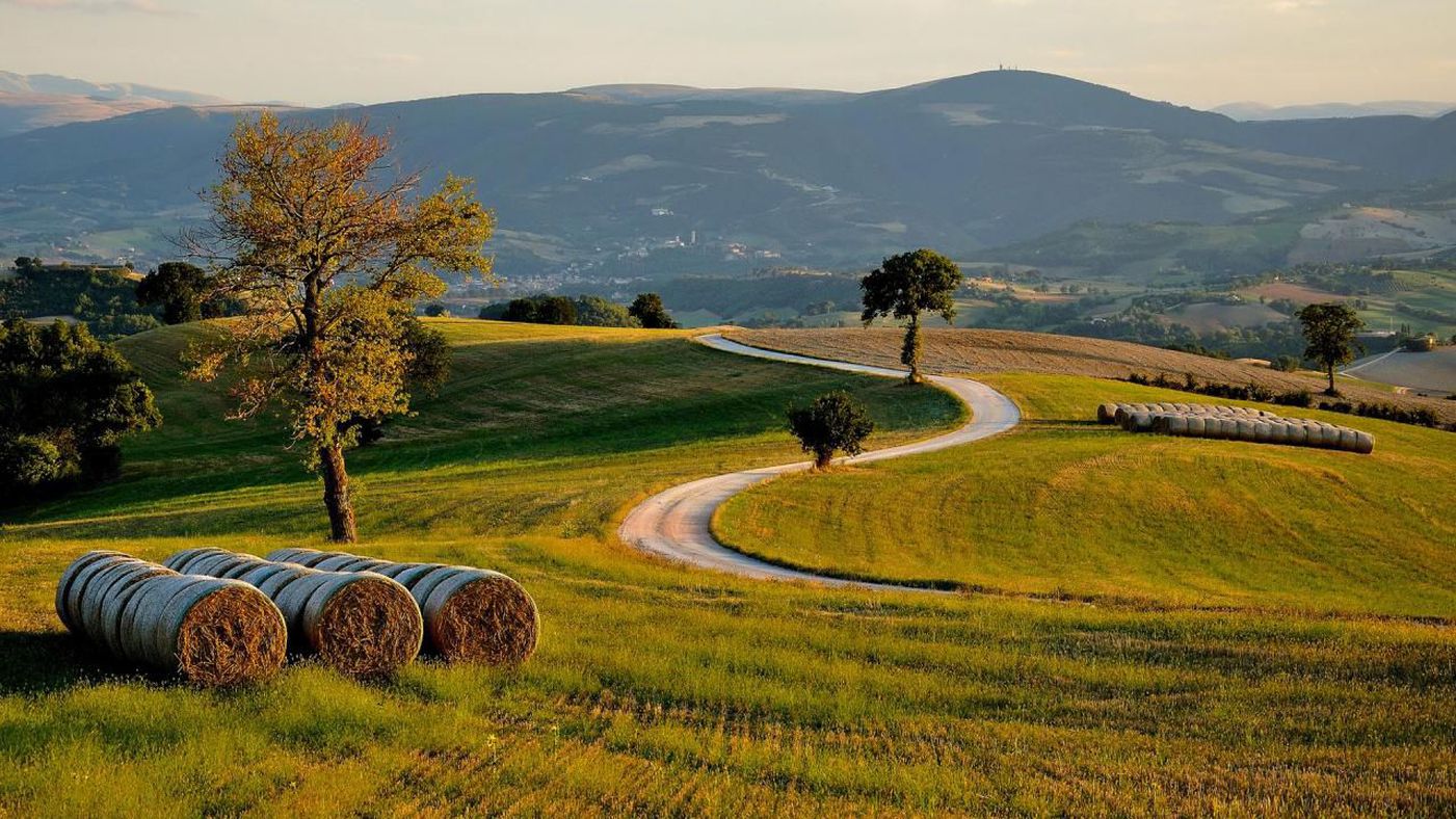 A photo of 8-Day Yoga, Wine and Dine Tour in Tuscany