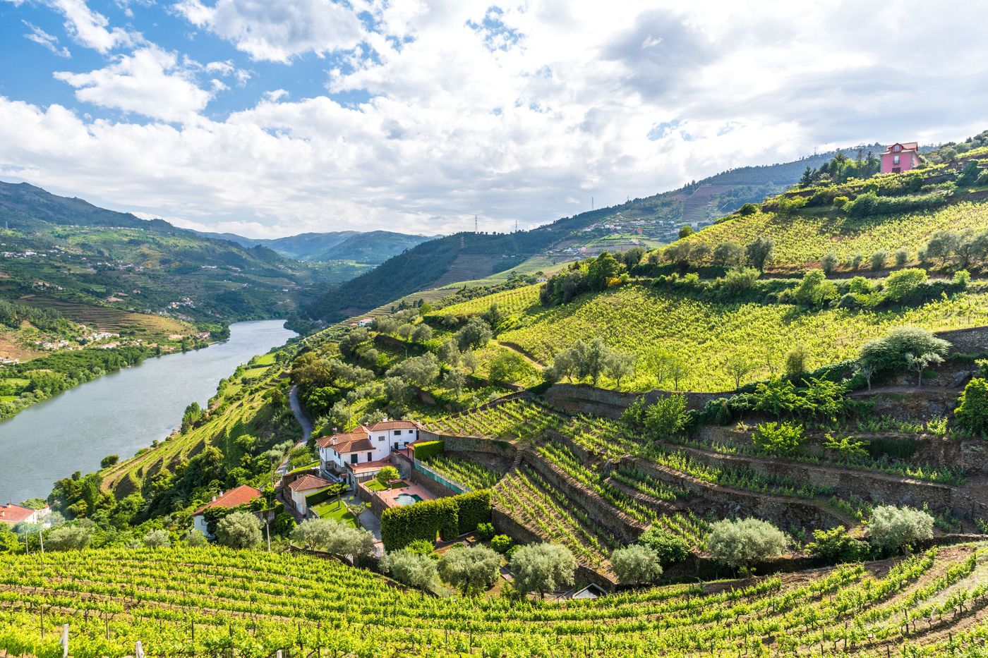 Private Douro Valley Wine Tasting Tour