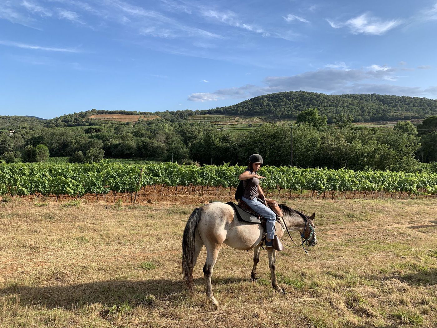 A photo of Horse Riding in the Vineyards of Saint Tropez