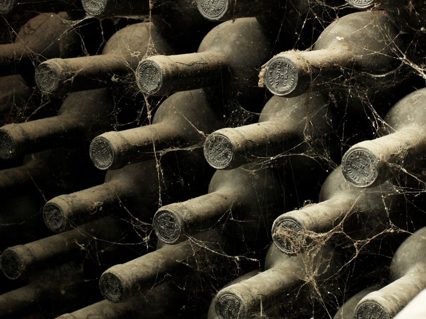 A photo of Half-Day Barolo Vineyard Private Experience