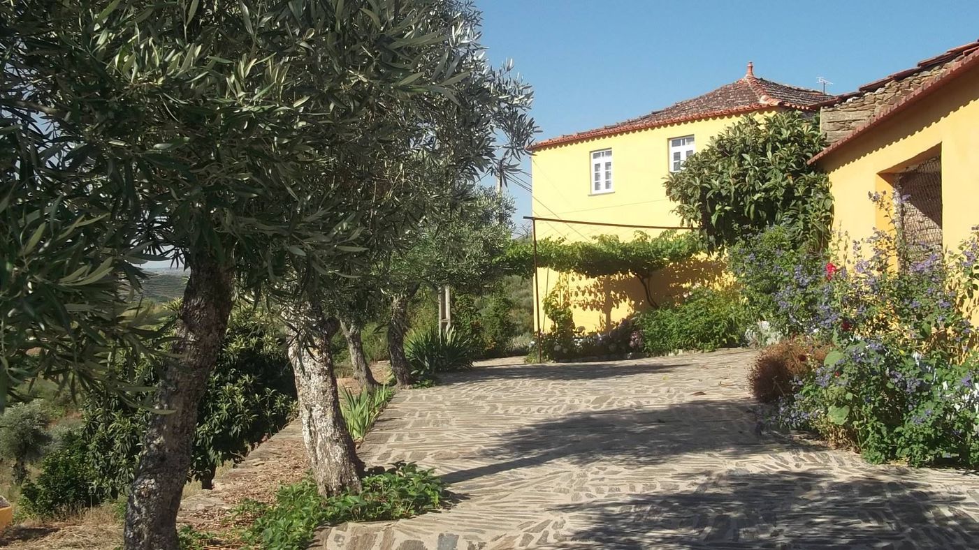 A photo of Quinta da Furada