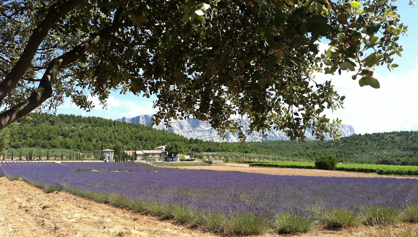 A photo of 6-Day Provence Wine Tour with an Award-Winning Author Host