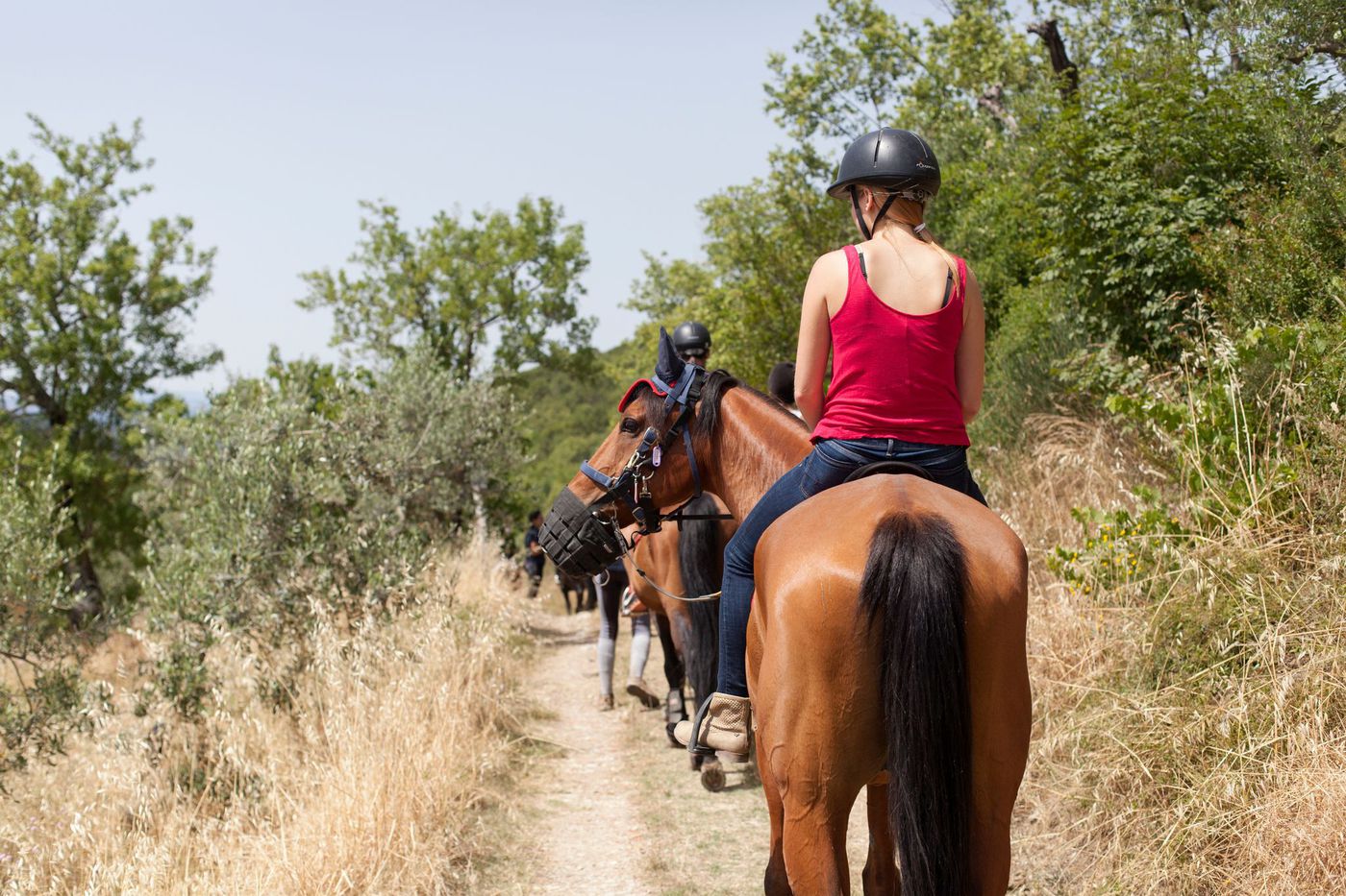 A photo of Private Horse Riding and Wine Tasting Tour in Chianti from Florence