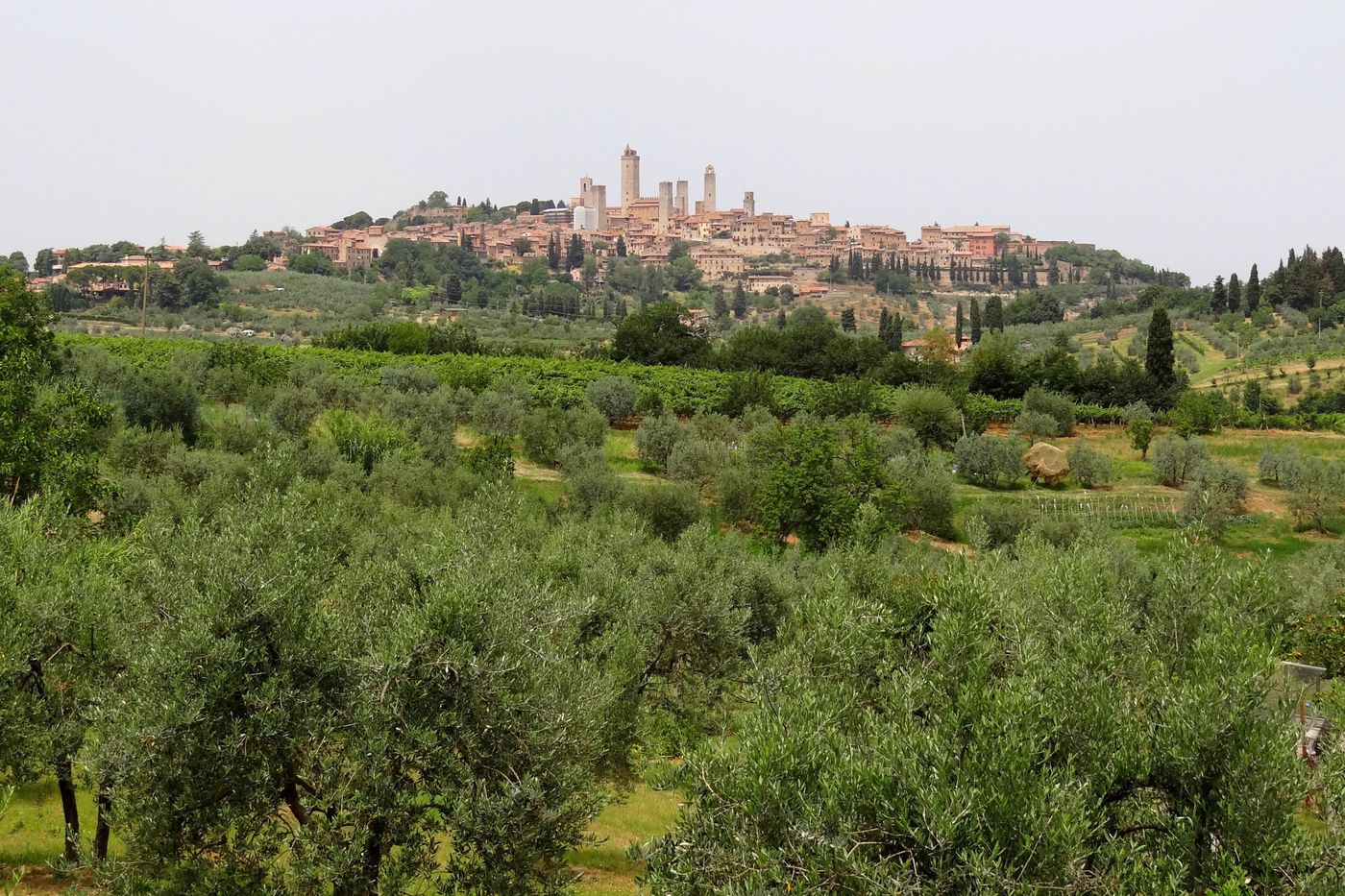 A photo of Full-Day Private San Giminiano and Siena tour with wine-paired dinner from Florence