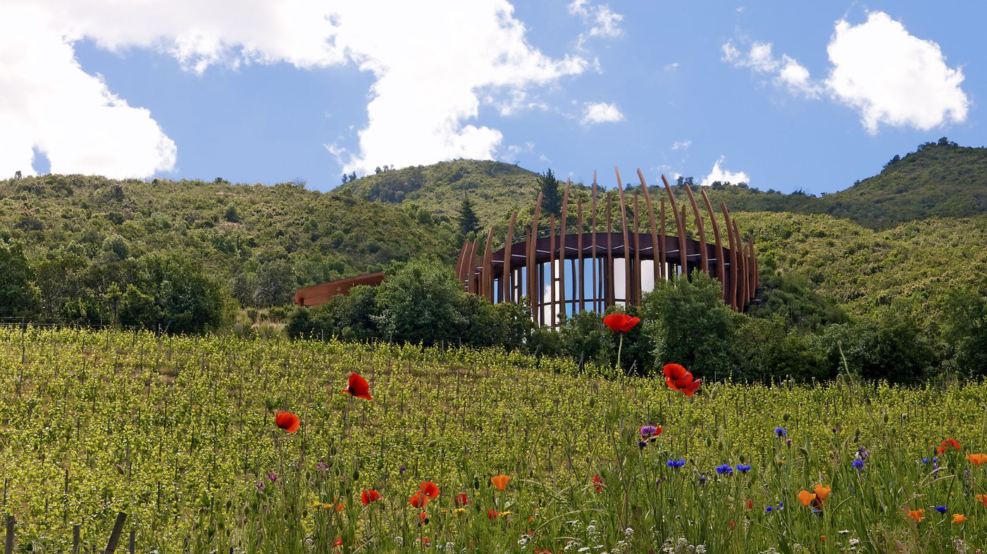 A photo of 5-Day Casablanca, Colchagua Valley and Santiago Exclusive Wine Package