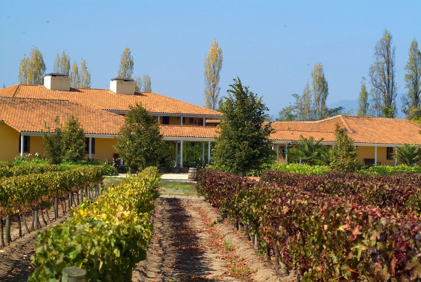 A photo of 7-Day Santiago, Colchagua Valley & Maipo Valley Exclusive Wine Package