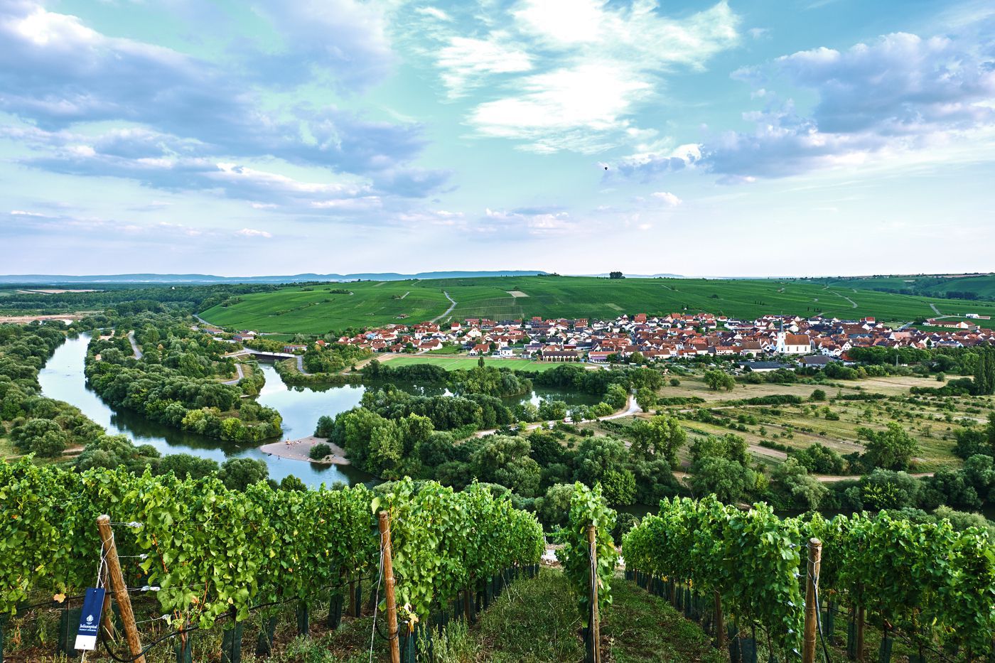 A photo of Half-Day Wine Tour in the Franconian Wine Country 