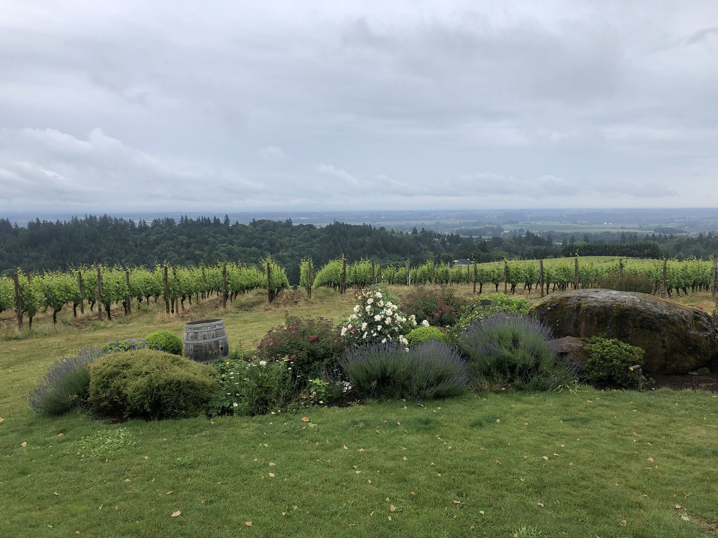 A photo of Willamette Valley Wine Tasting Tour