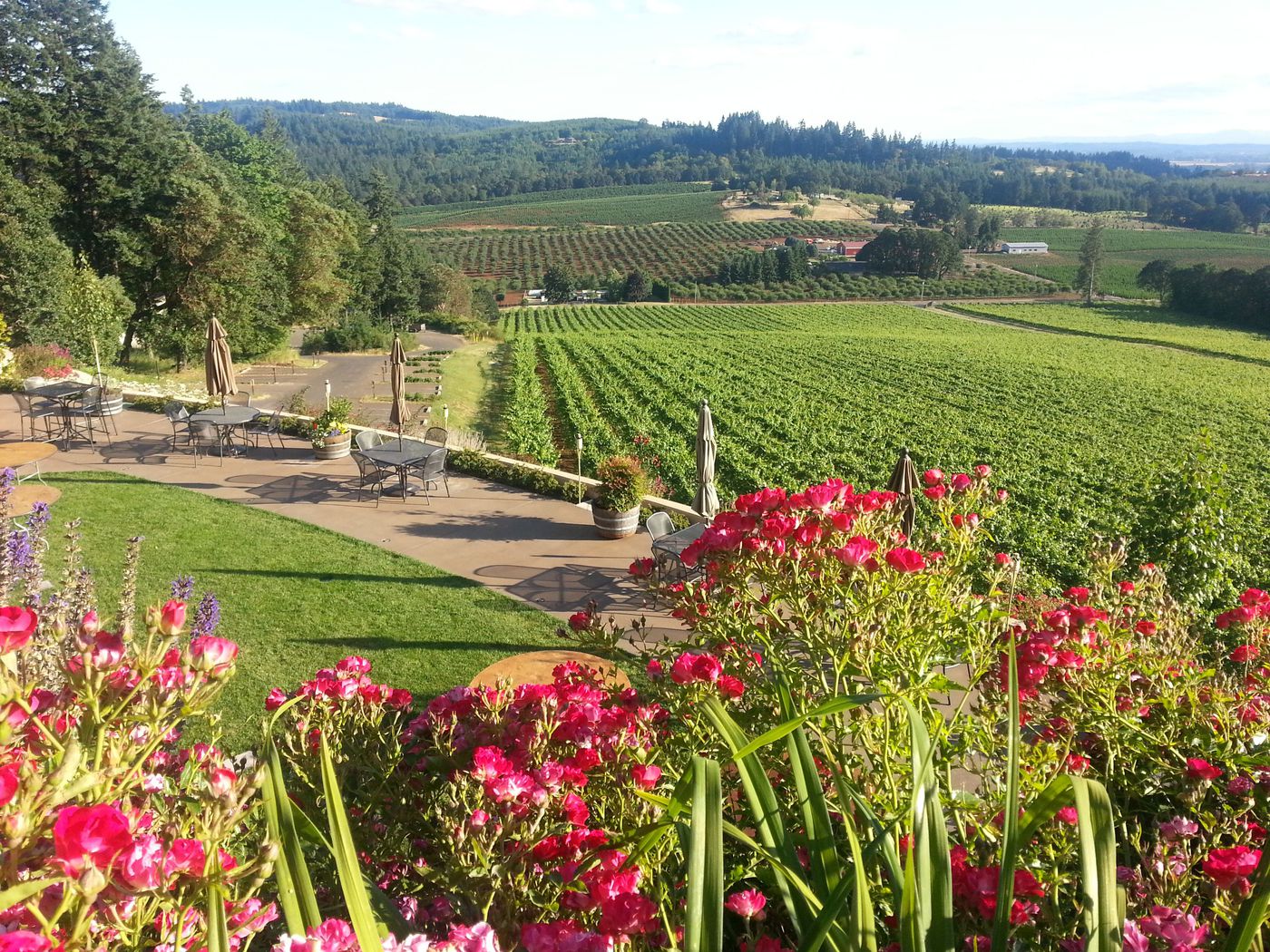 A photo of Willamette Valley Wine & Gourmet Tour from Portland