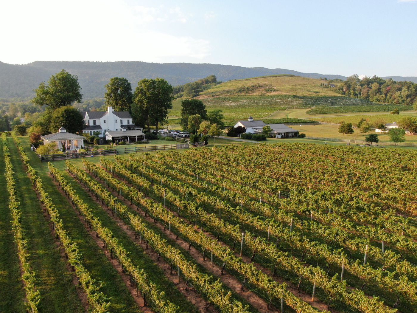 A photo of Veritas Vineyard and Winery