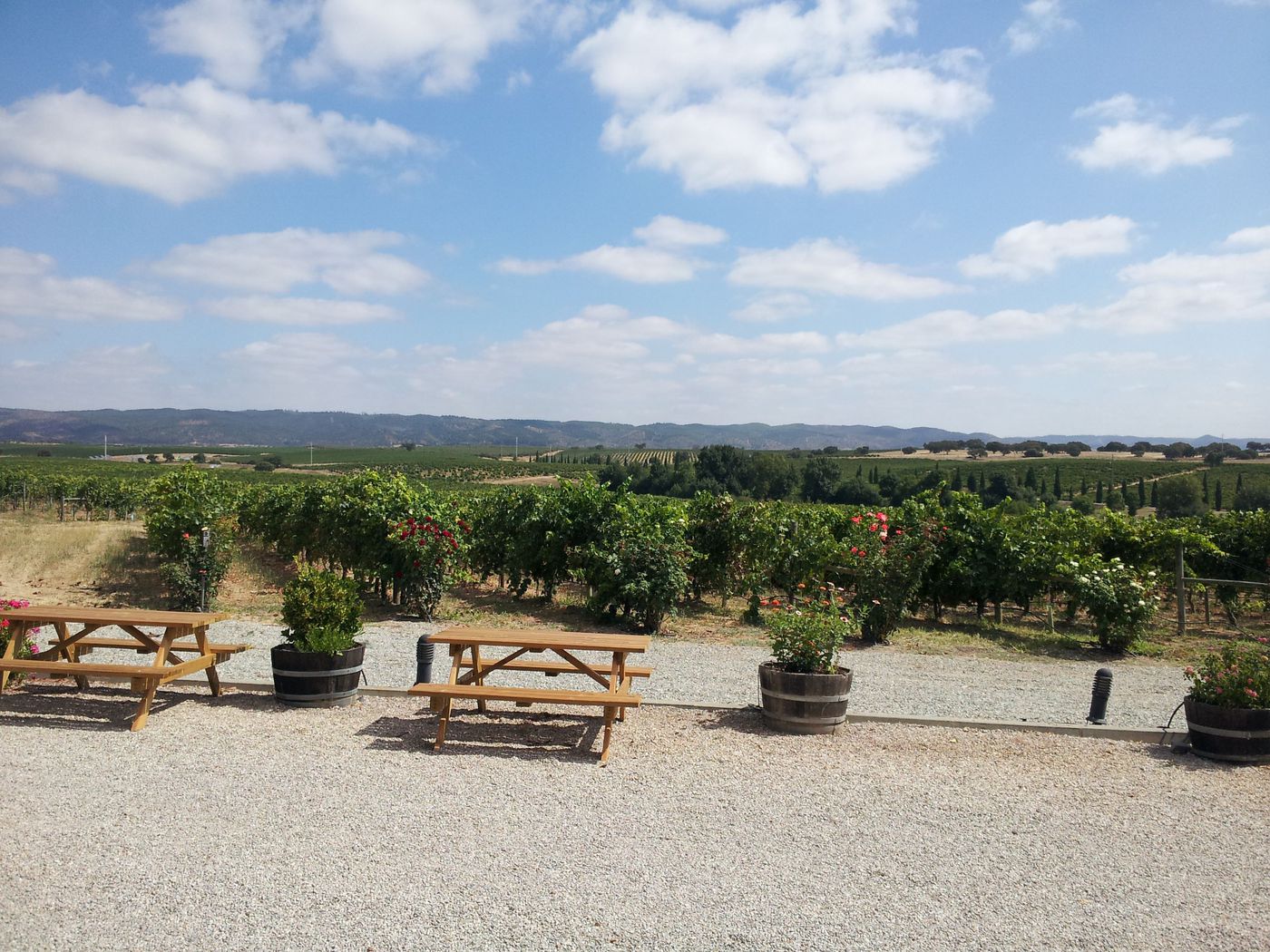 A photo of A Taste of Alentejo: Wine, Food and Spa Tour