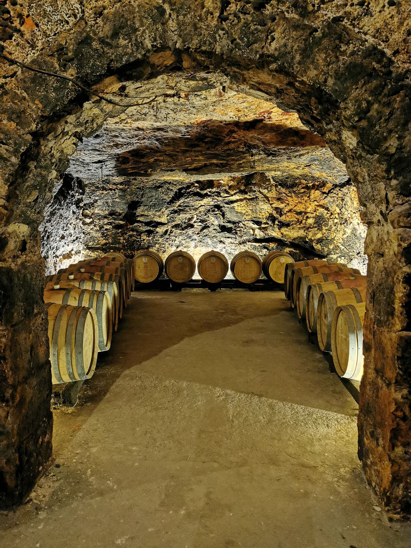 A photo of Private Madrid Wineries Tour