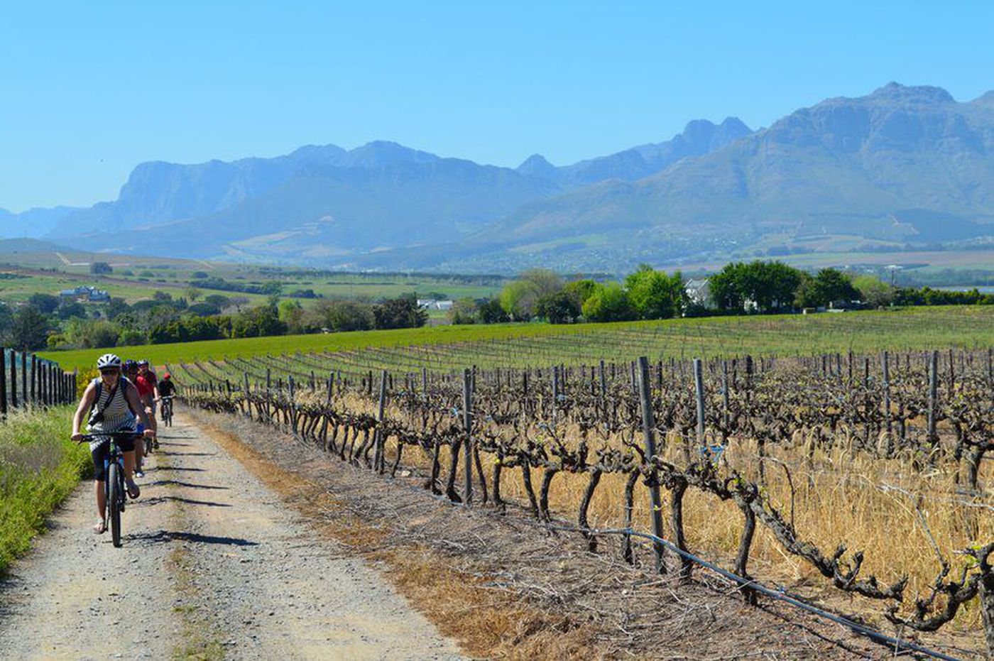 A photo of Half-Day Winelands Cycle Tour in Stellenbosch with Two Tastings