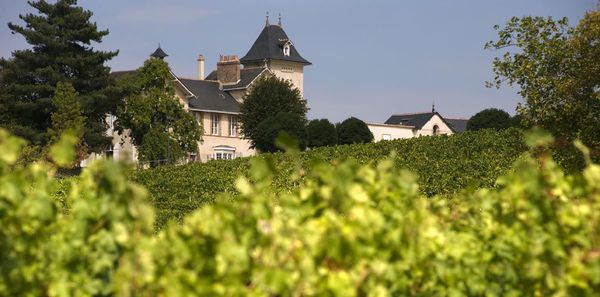 A photo of Chateau Soucherie