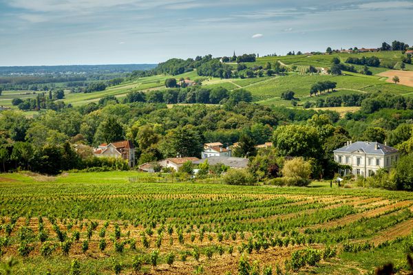 A photo of Médoc Afternoon Wine Tour from Bordeaux