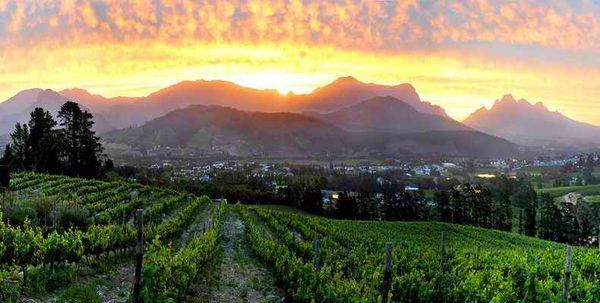 A photo of Wine Enthusiast Private Tour of Franschhoek