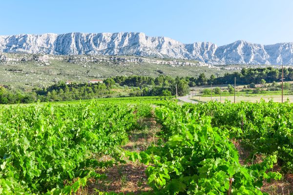 A photo of Half-day Cézanne countryside Wine Tour from Aix-en-Provence